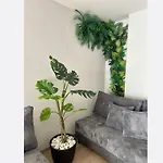 Jungle *