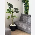 Jungle شقة