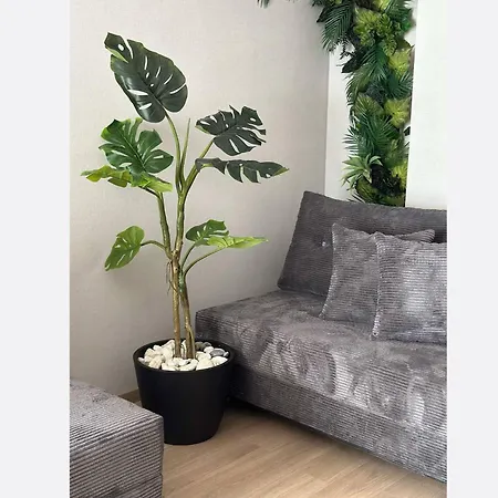 Jungle 公寓